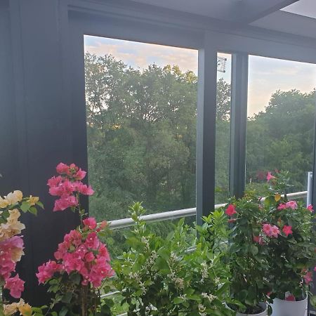 Cozy Room With A Beautiful Garden View Baunatal Exterior photo