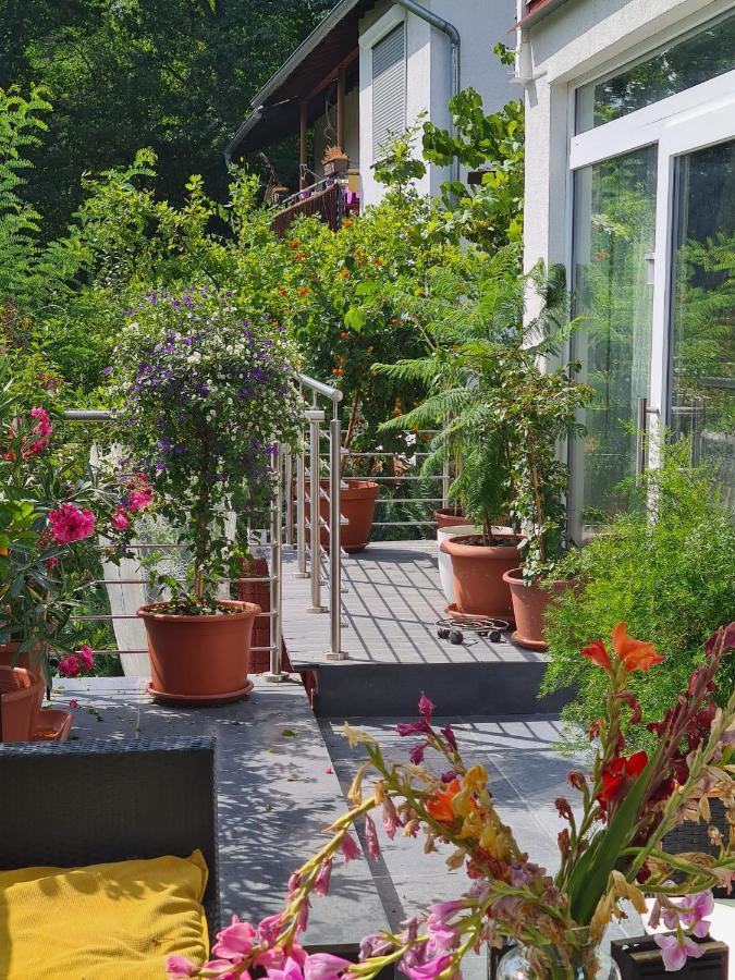 Cozy Room With A Beautiful Garden View Baunatal Exterior photo