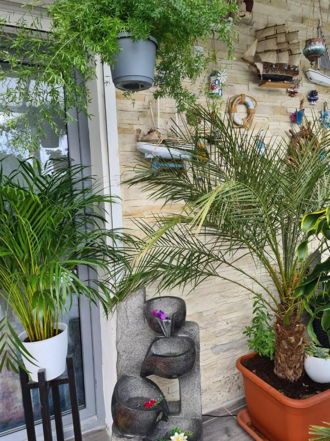 Cozy Room With A Beautiful Garden View Baunatal Exterior photo